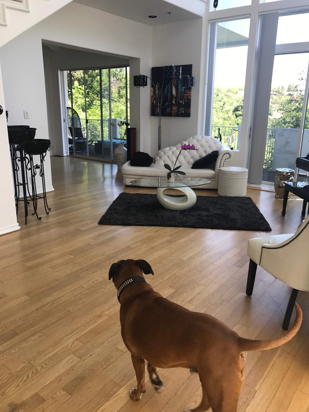 Glam Hillside Home with Canyon View — photo 9
