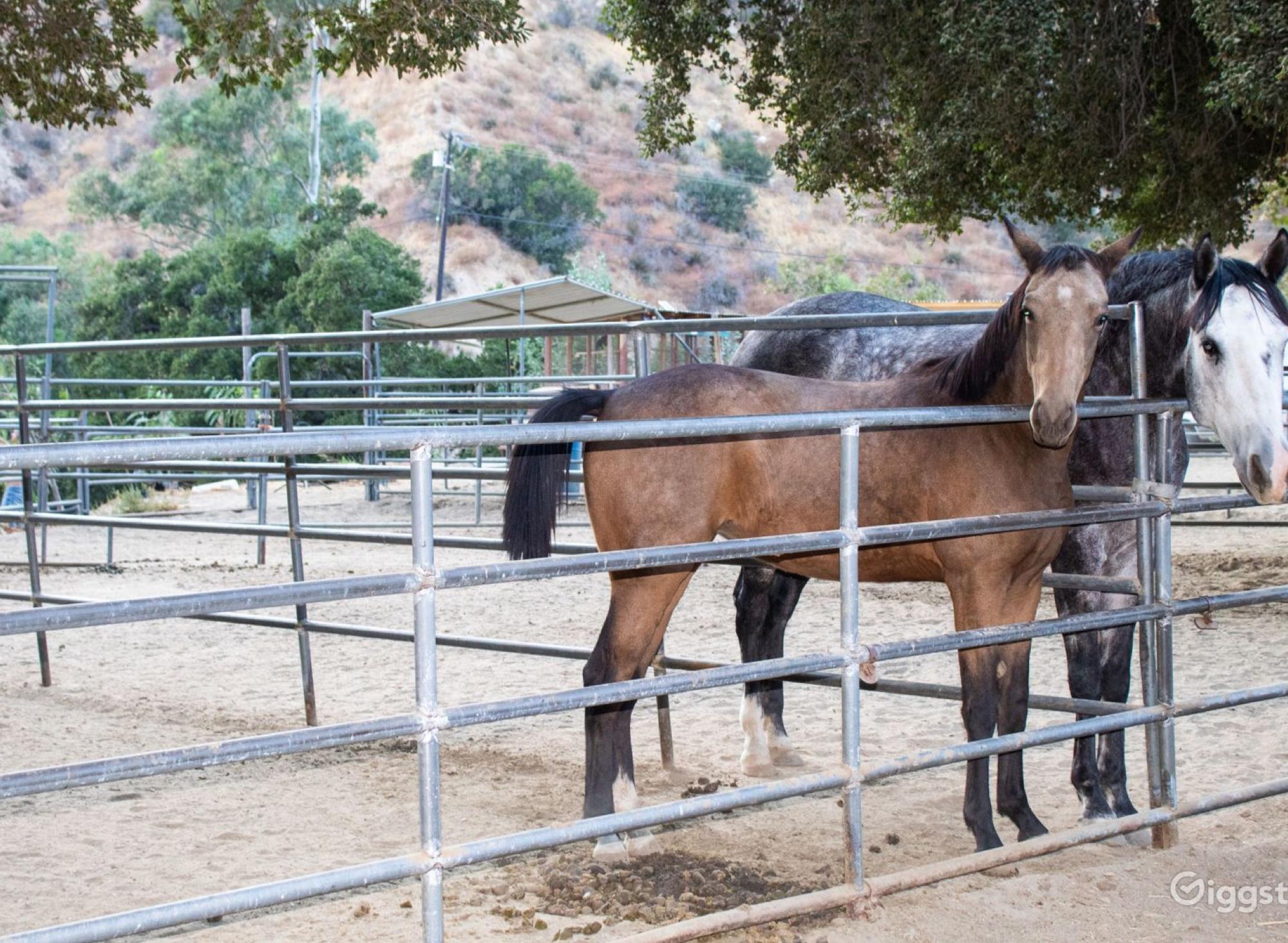 40-Acre Ranch — photo 3