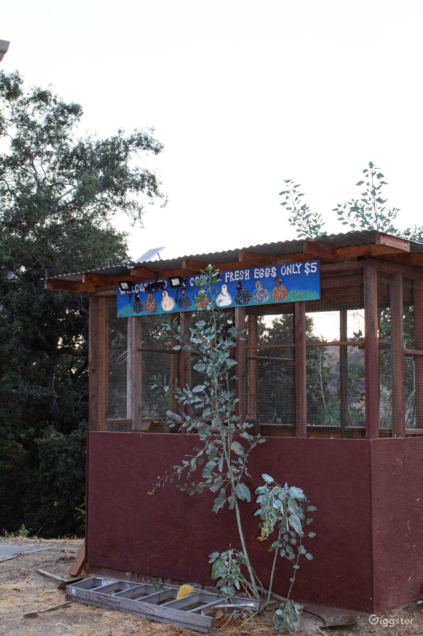 40-Acre Ranch — photo 11