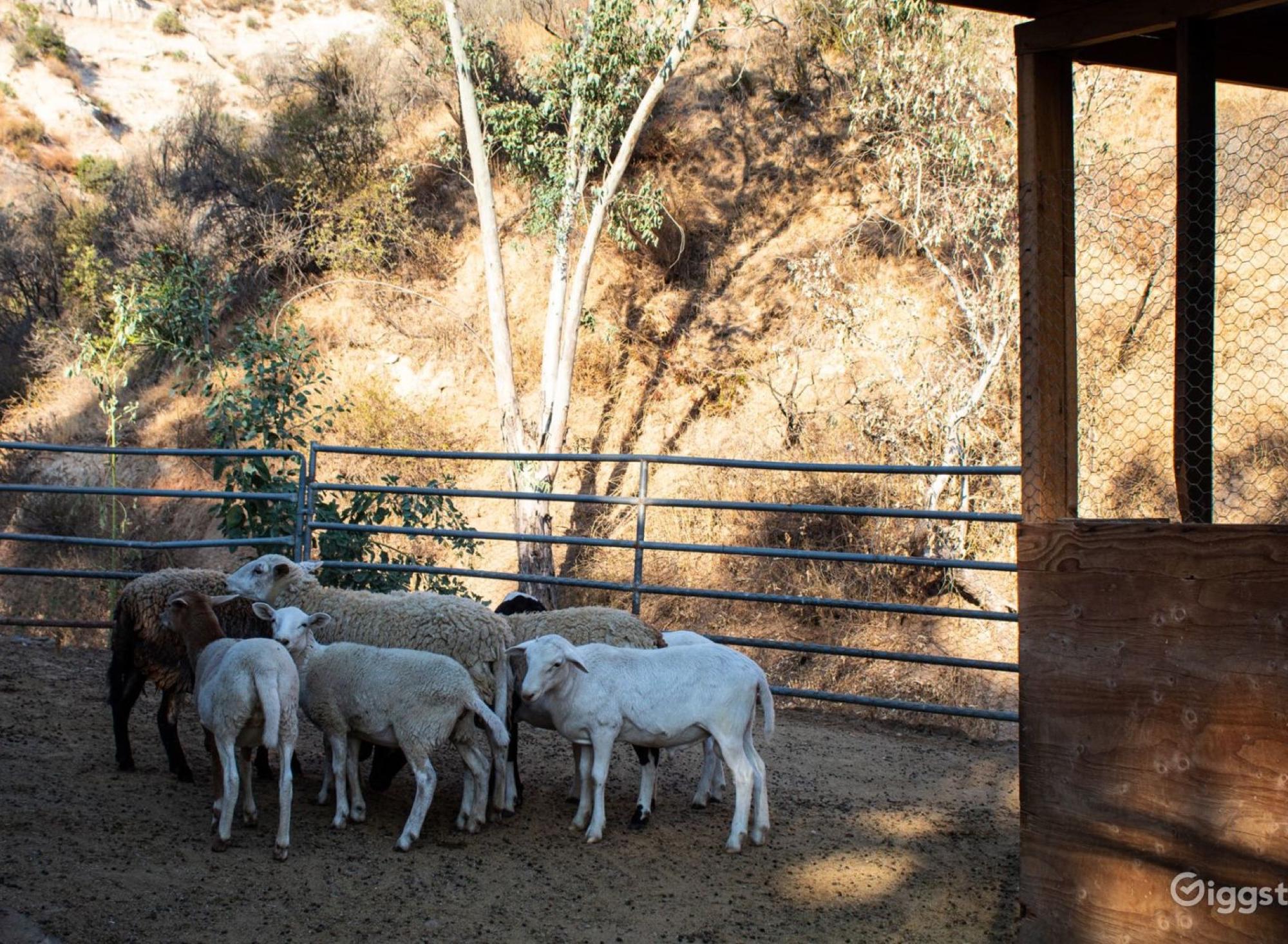 40-Acre Ranch — photo 10
