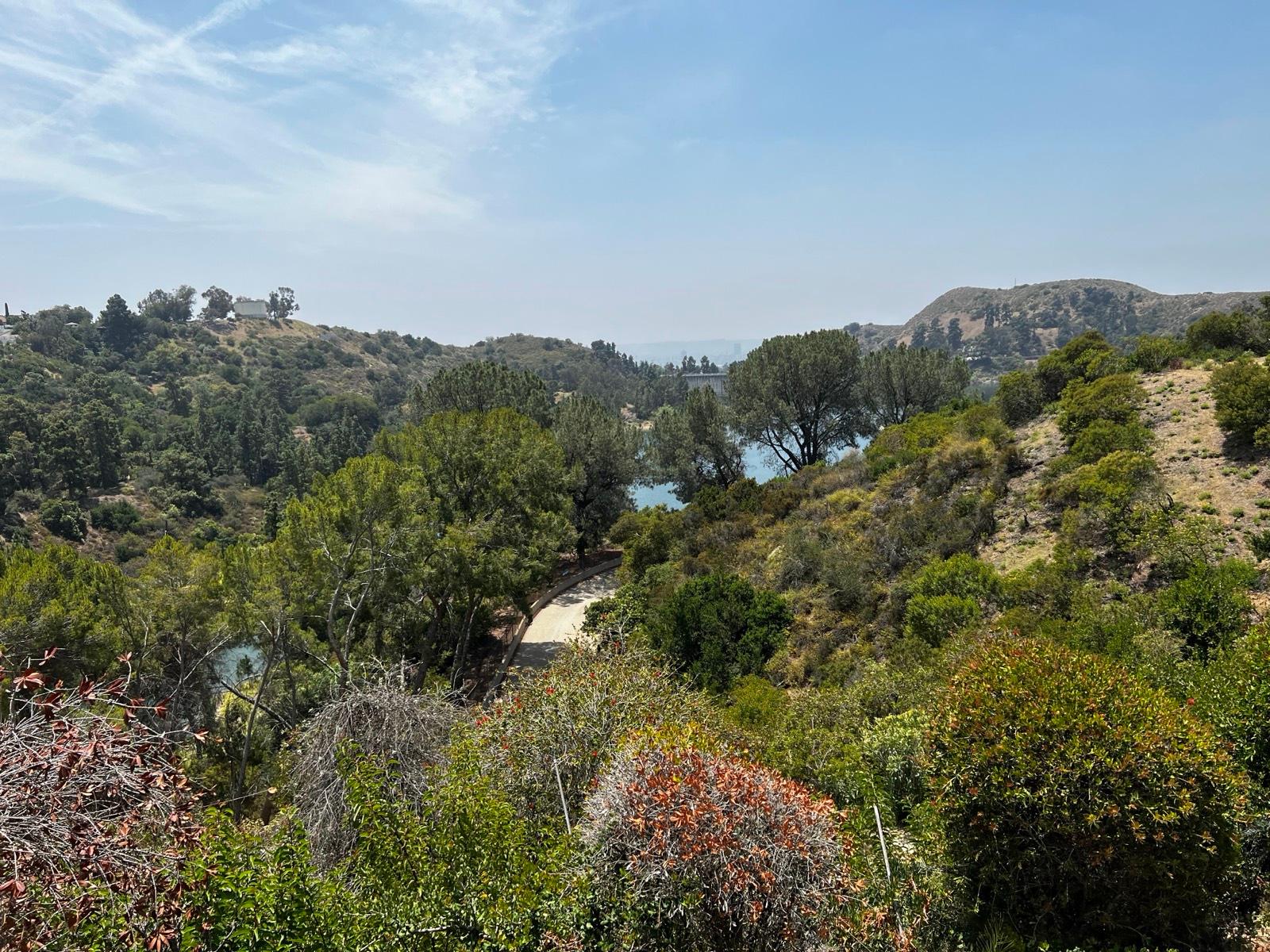 A's Vintage Lake View — photo 11