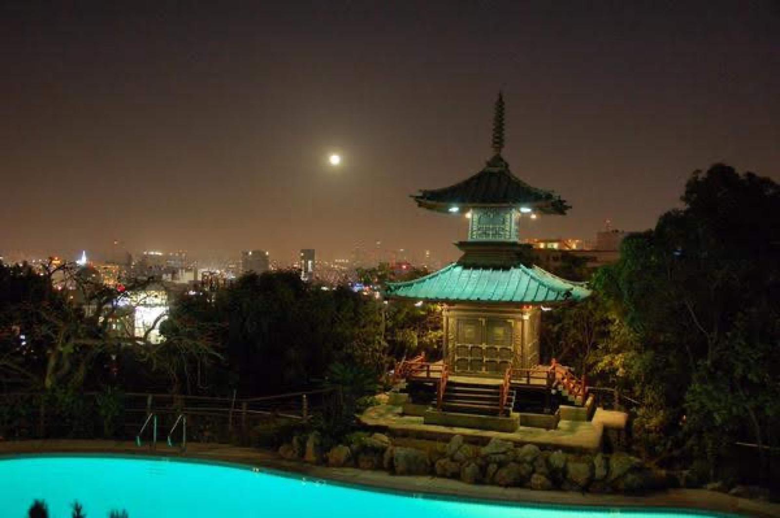 Asian Resturant on the Hill — photo 7