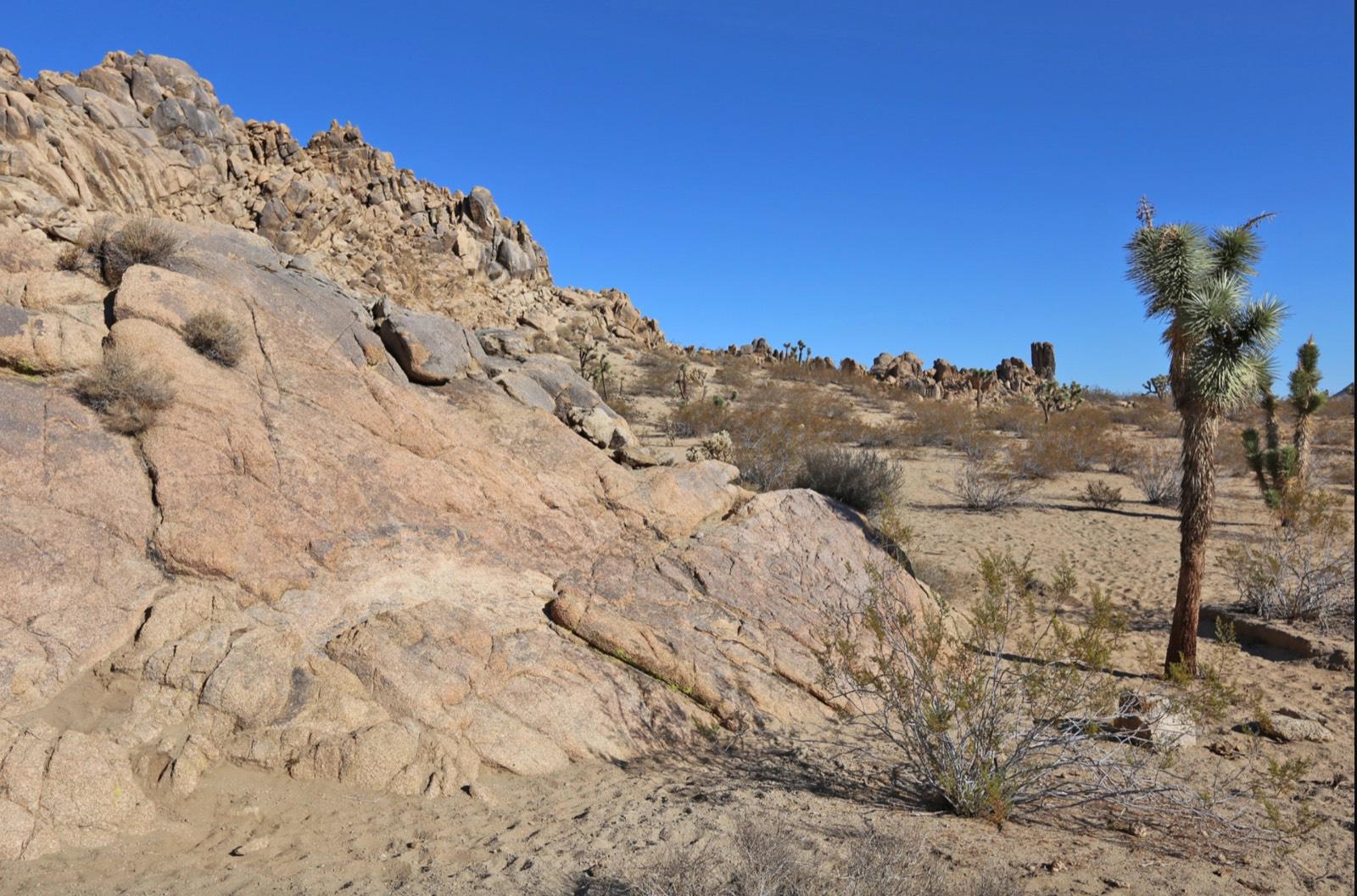B Outdoor Desert — photo 2