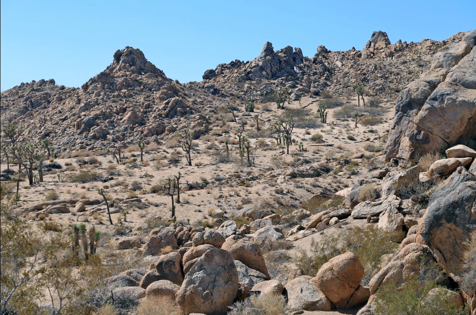 B Outdoor Desert — photo 3