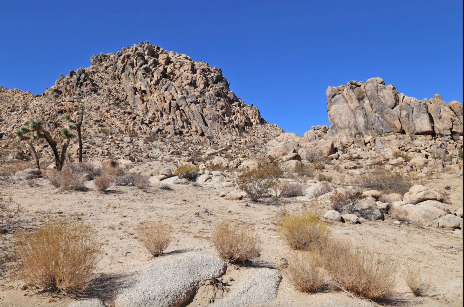 B Outdoor Desert — photo 5