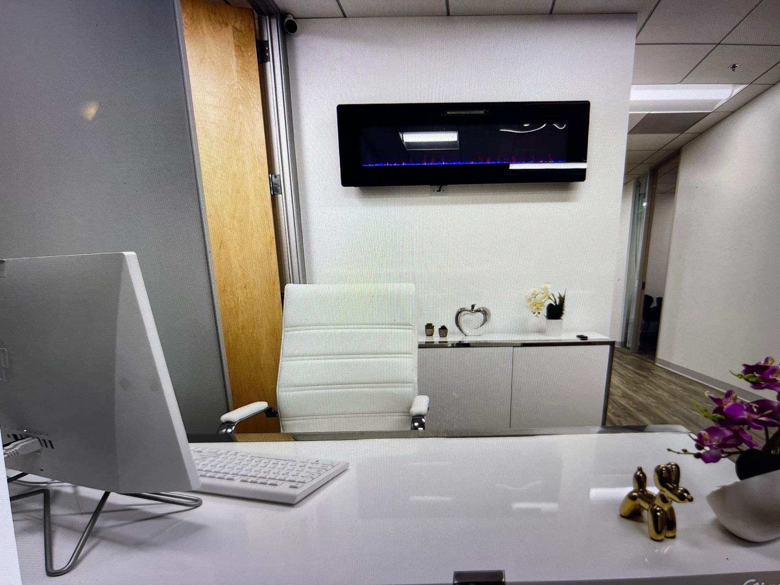 BEVERLY HILLS OFFICE STYLISH — photo 3