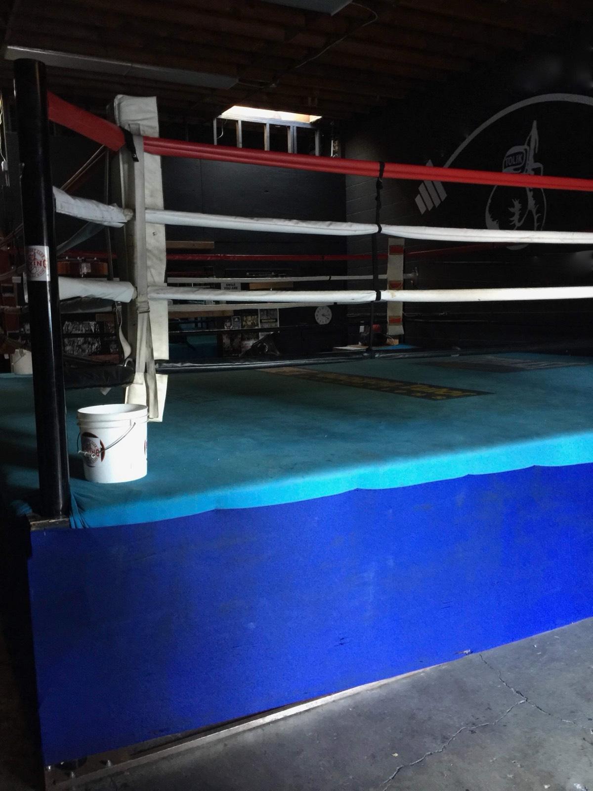 Boxing Reseda — photo 2