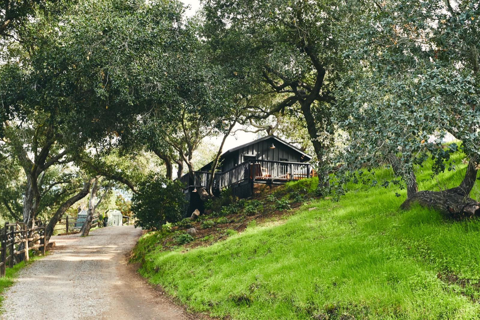 B's Beautiful Huge Multi Property — photo 2