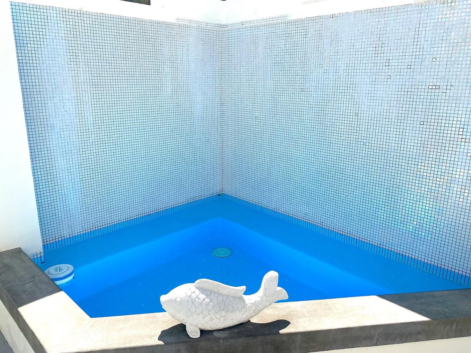 Charming white house with pool and jacuzzi in the hills near beverly — photo 8