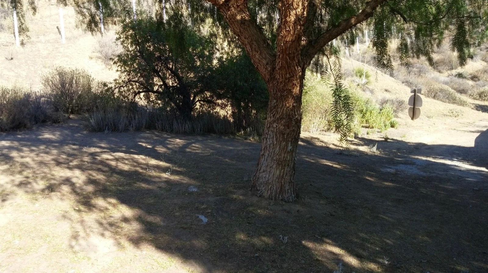 Ch's Homey Farm Ranch — photo 12