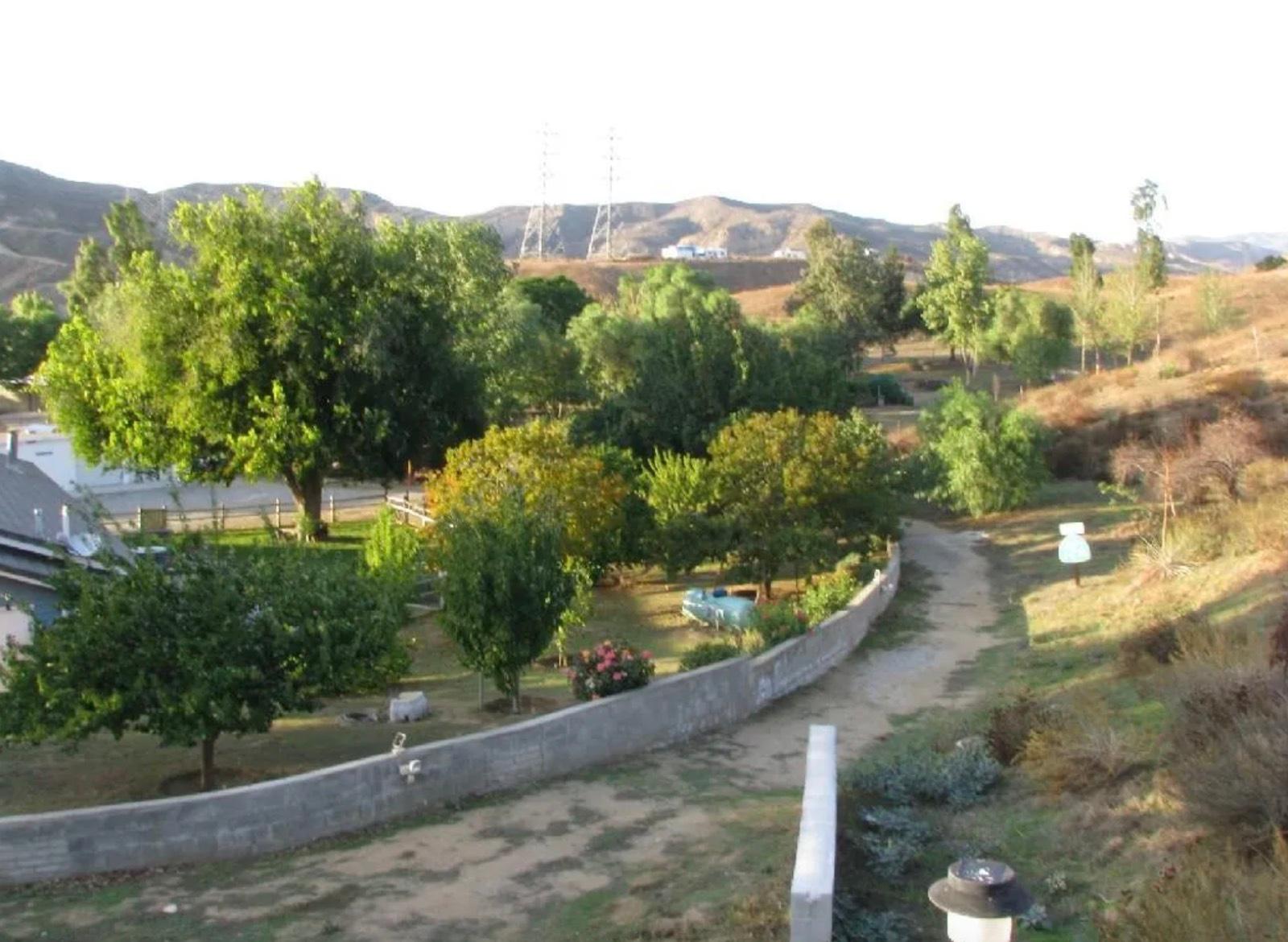 Ch's Homey Farm Ranch — photo 3