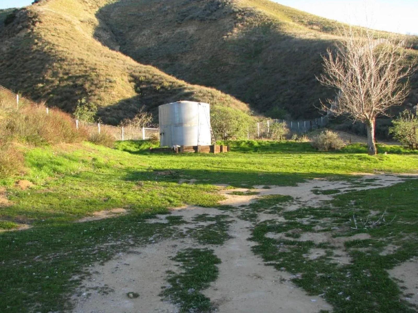 Ch's Homey Farm Ranch — photo 4