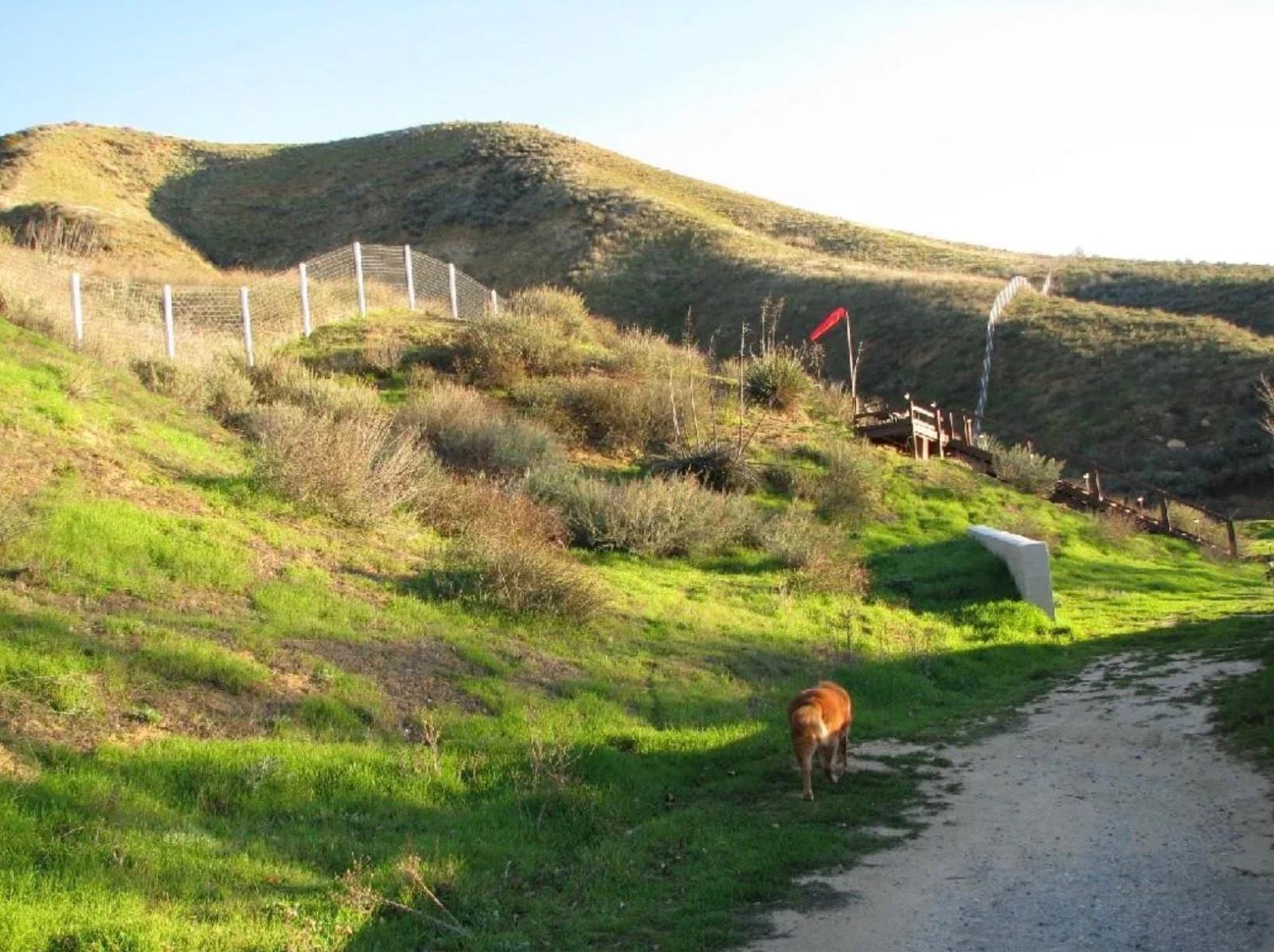 Ch's Homey Farm Ranch — photo 5