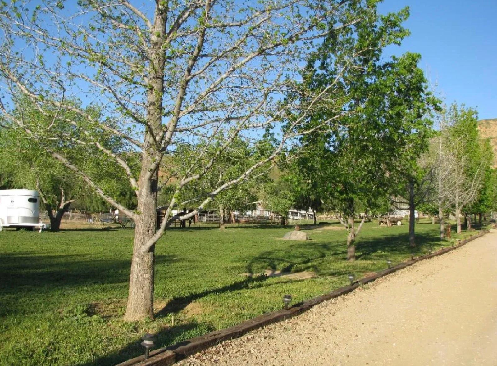 Ch's Homey Farm Ranch — photo 8