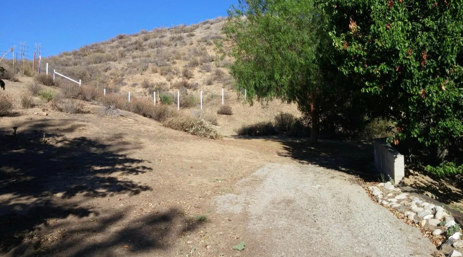 Ch's Homey Farm Ranch — photo 9