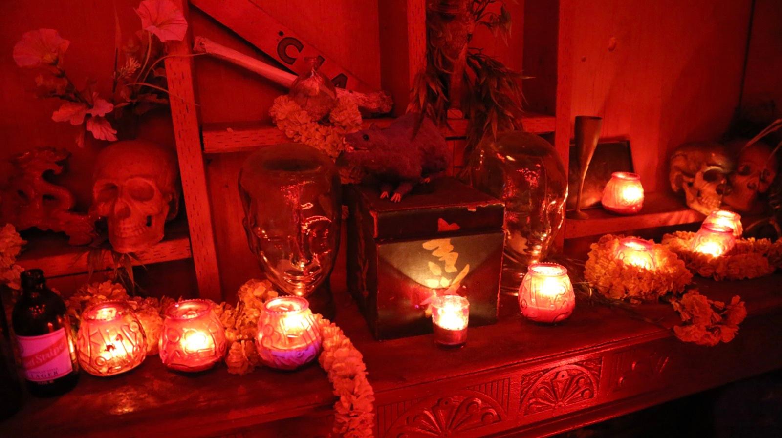 Circus Bar — photo 1