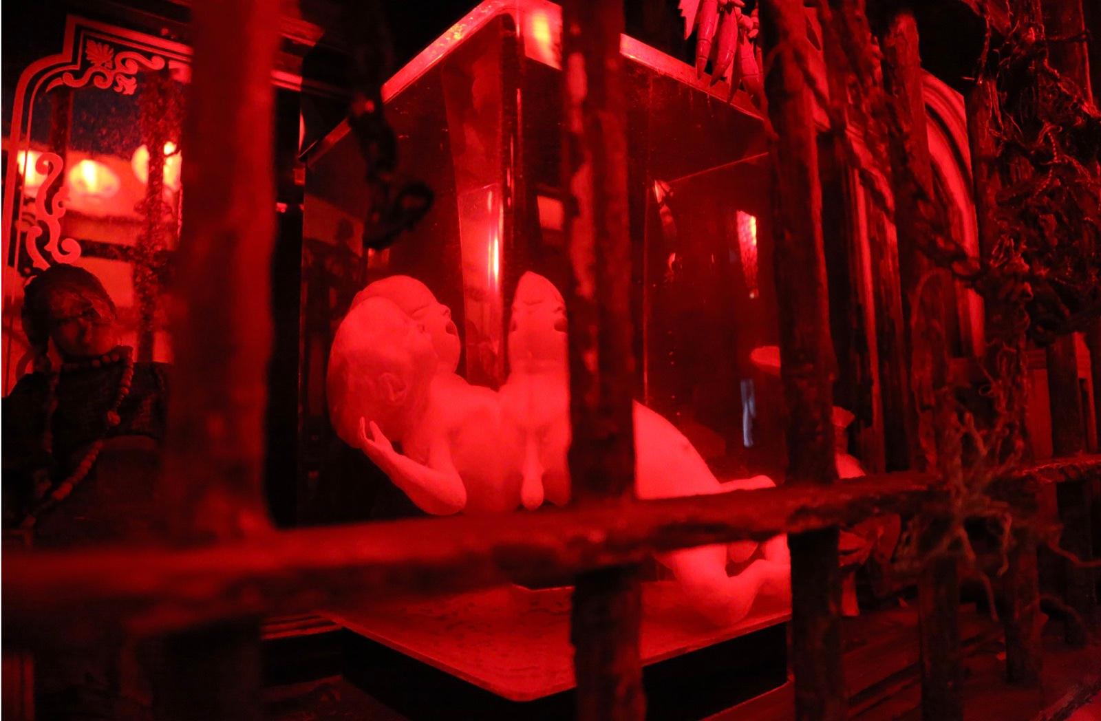 Circus Bar — photo 4