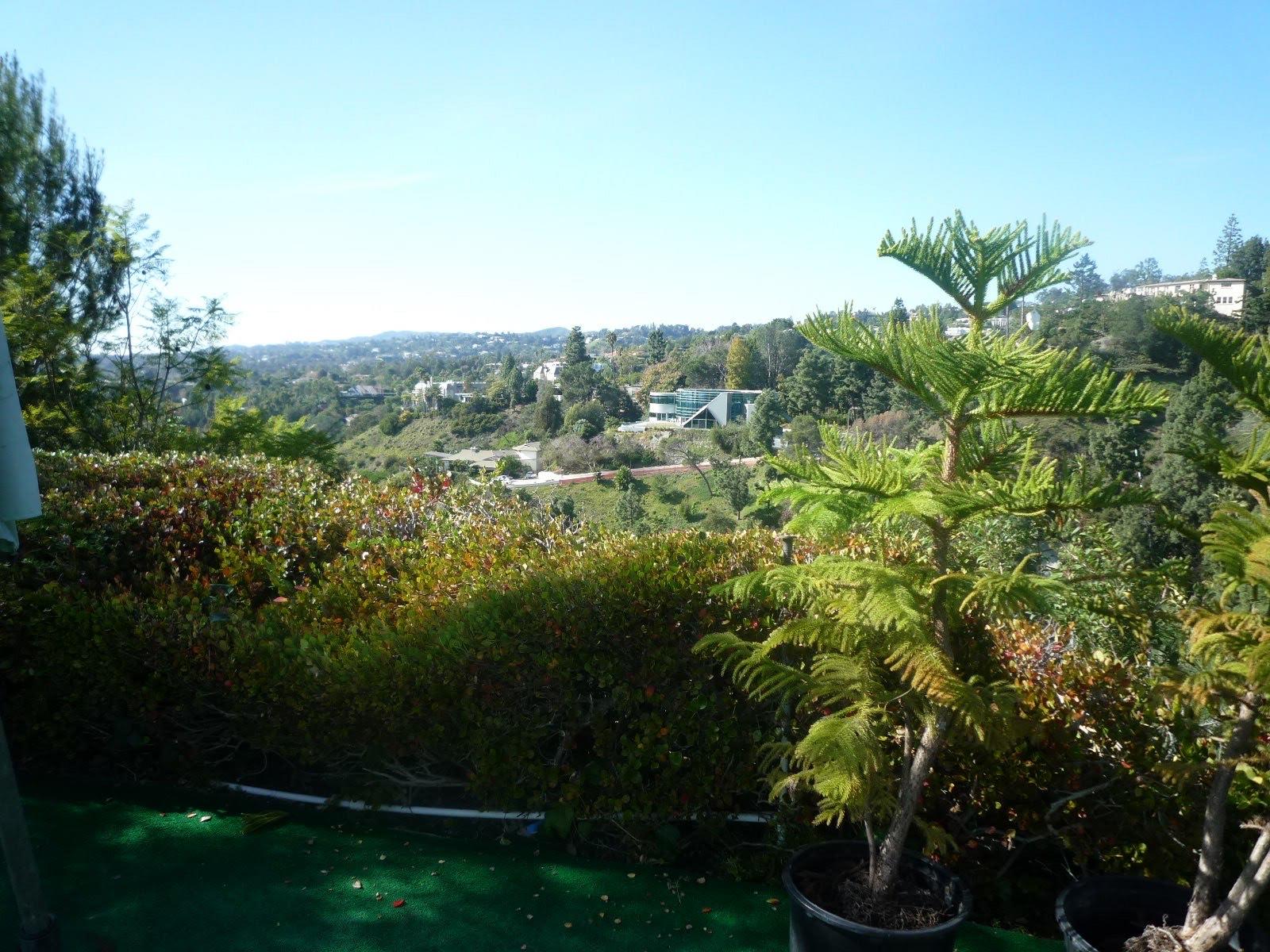 Coldwater Canyon Lane House — photo 8