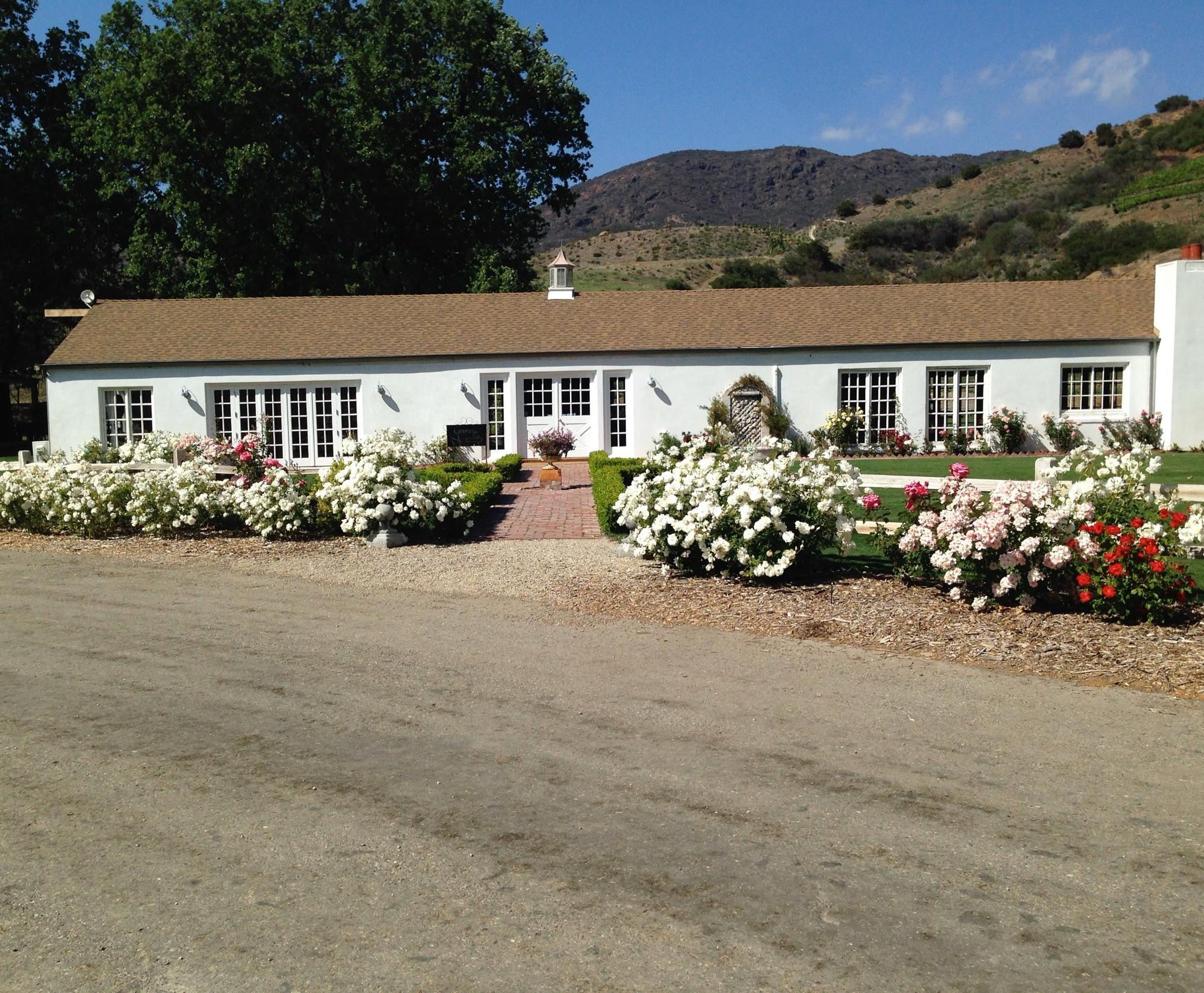 Creek Vineyards — photo 3