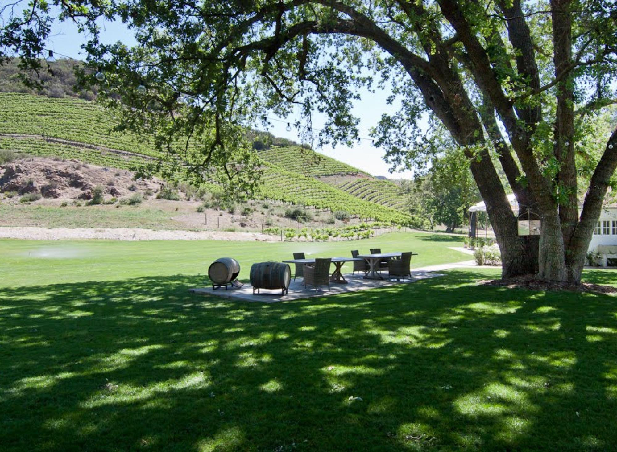 Creek Vineyards — photo 12
