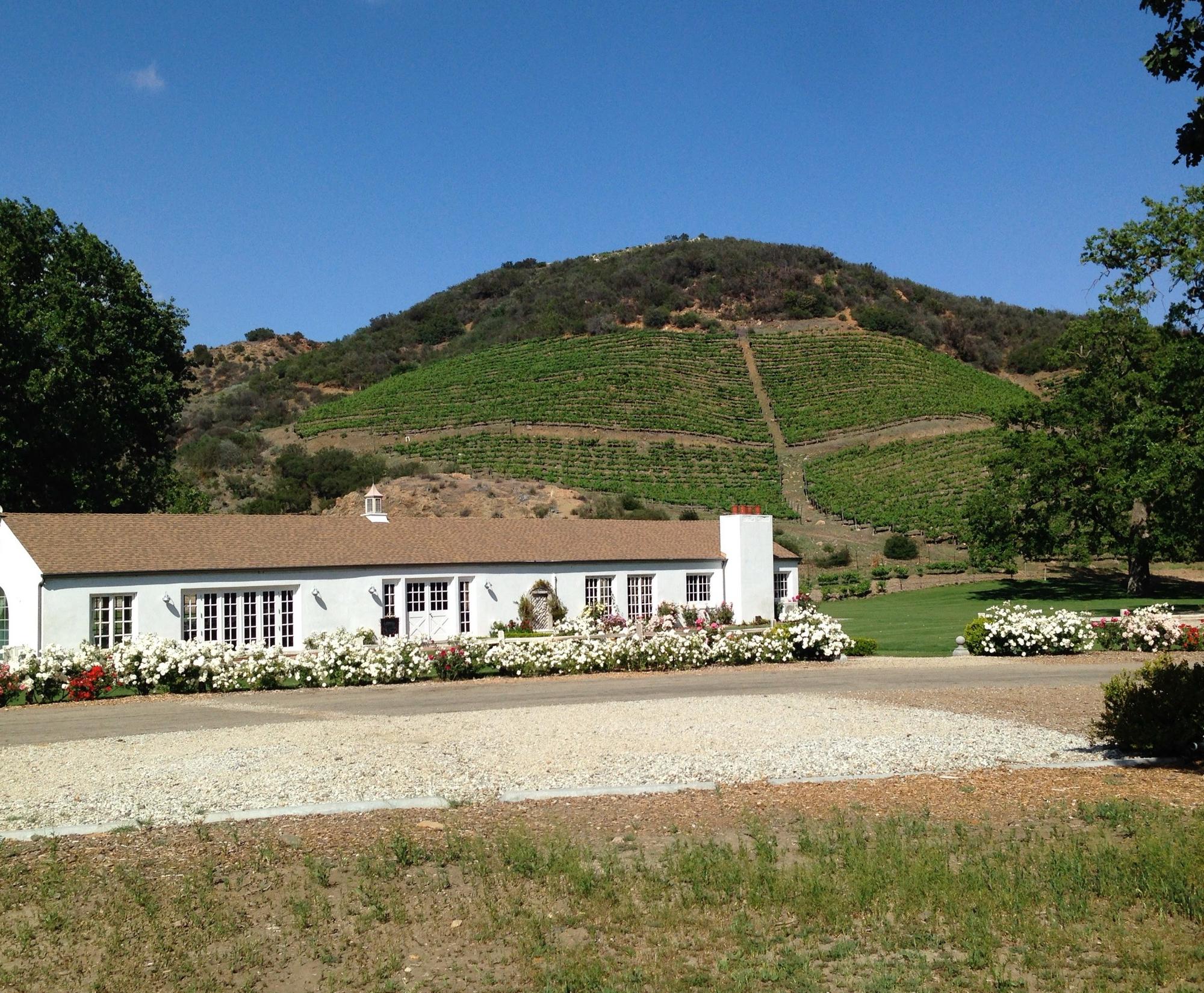 Creek Vineyards