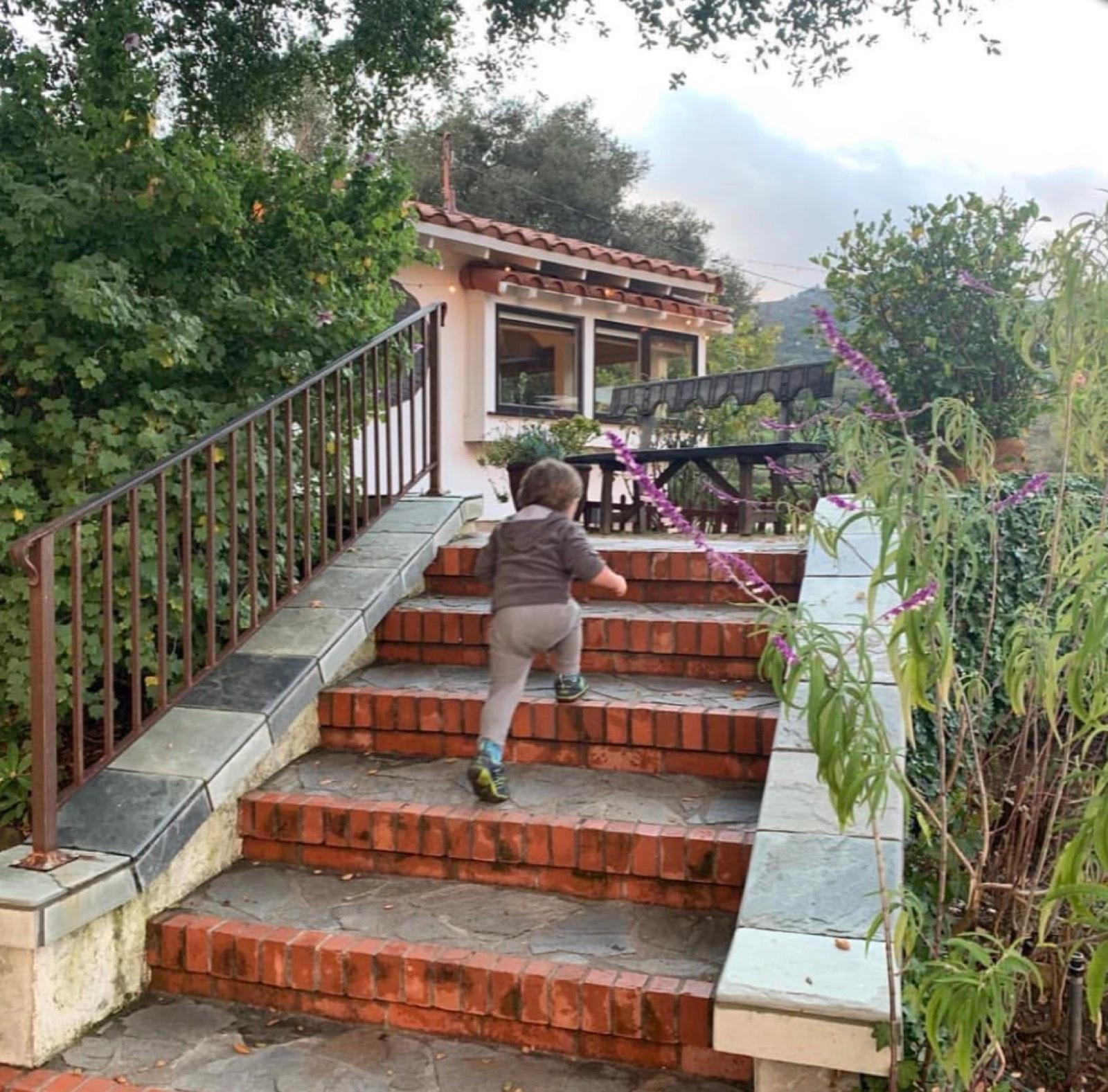 C's Topanga View Home — photo 8