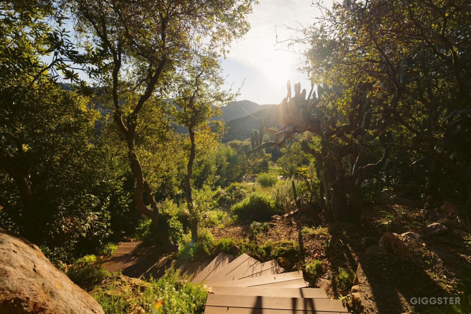 D's cabin with mountain view — photo 10