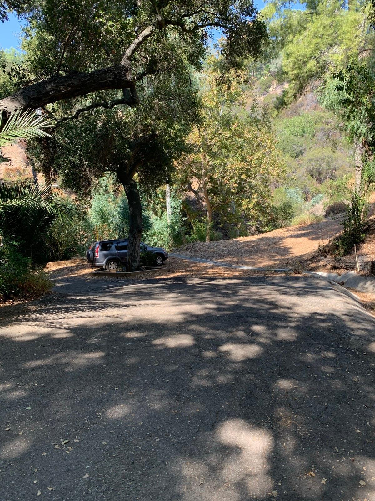 D's Hippie Retreat — photo 2