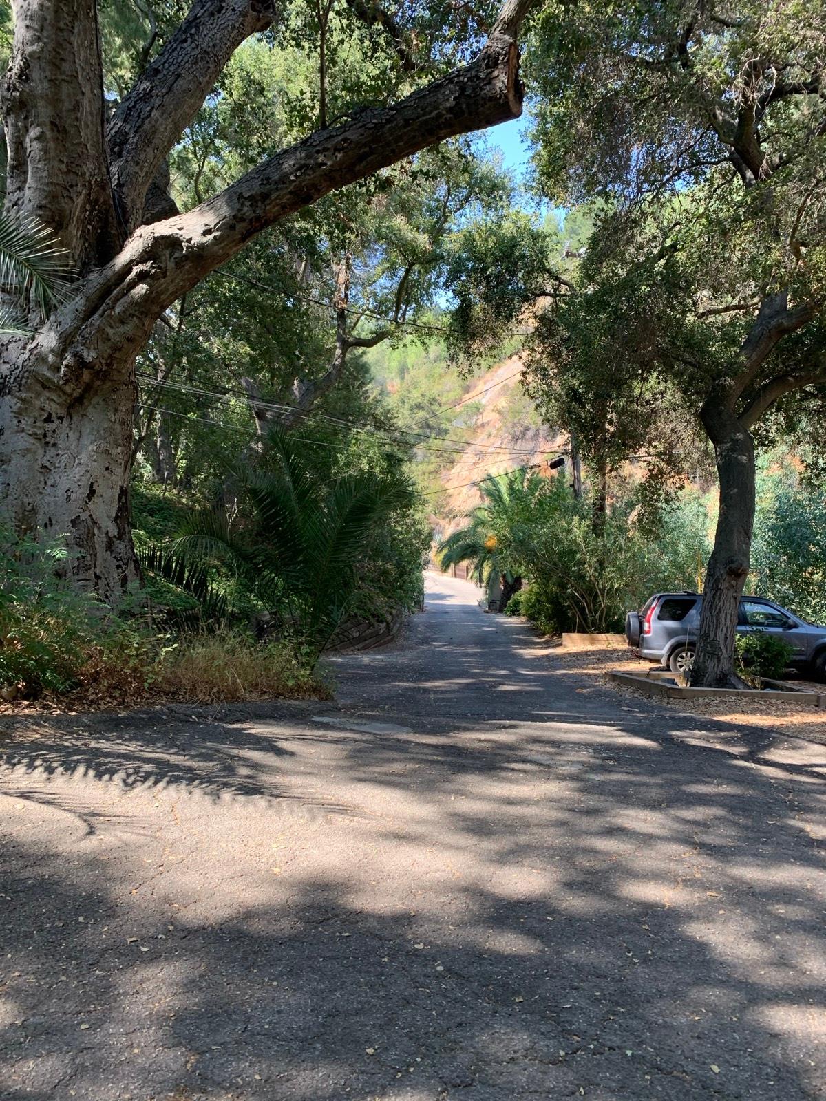 D's Hippie Retreat — photo 3
