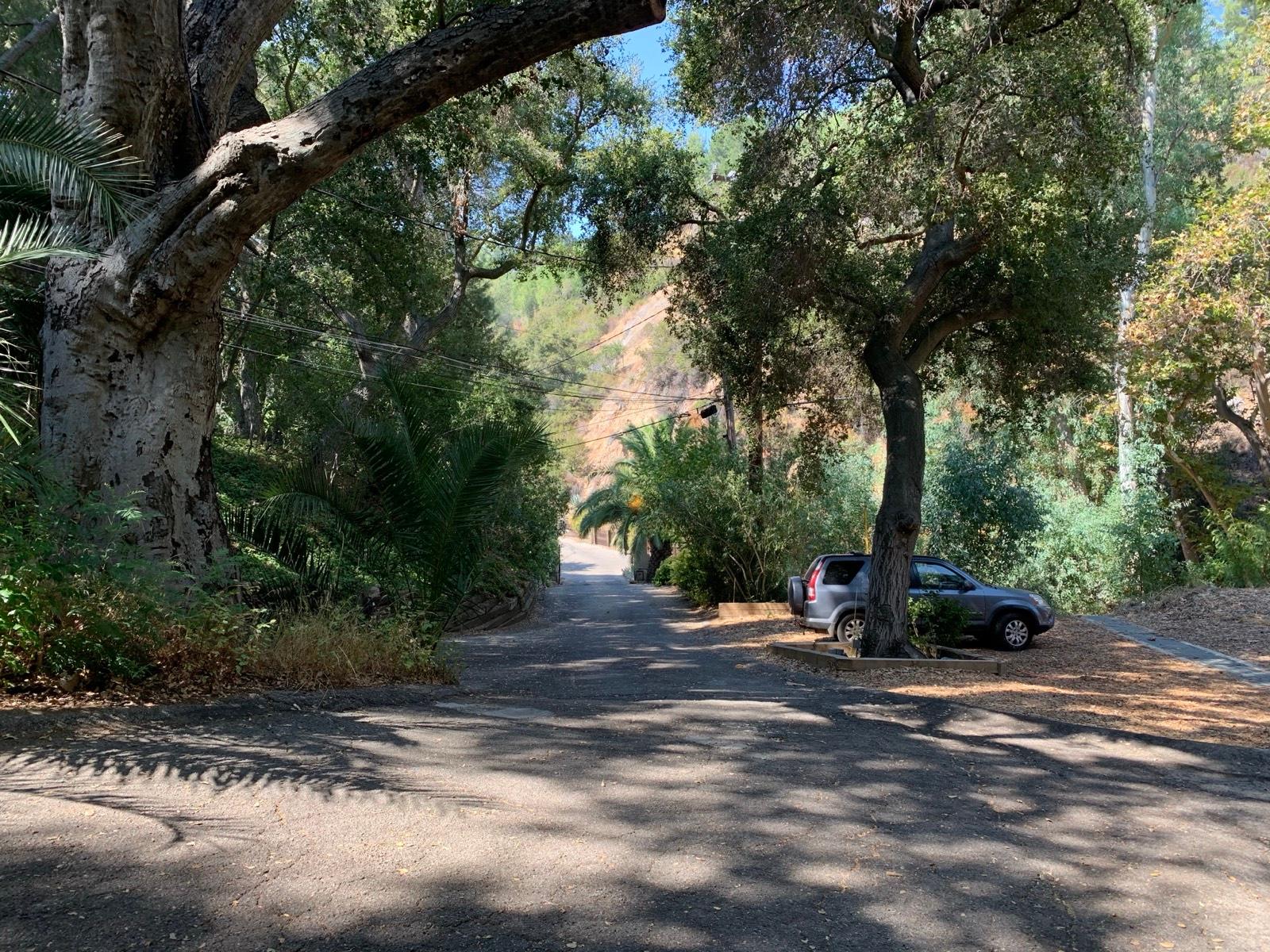 D's Hippie Retreat — photo 1