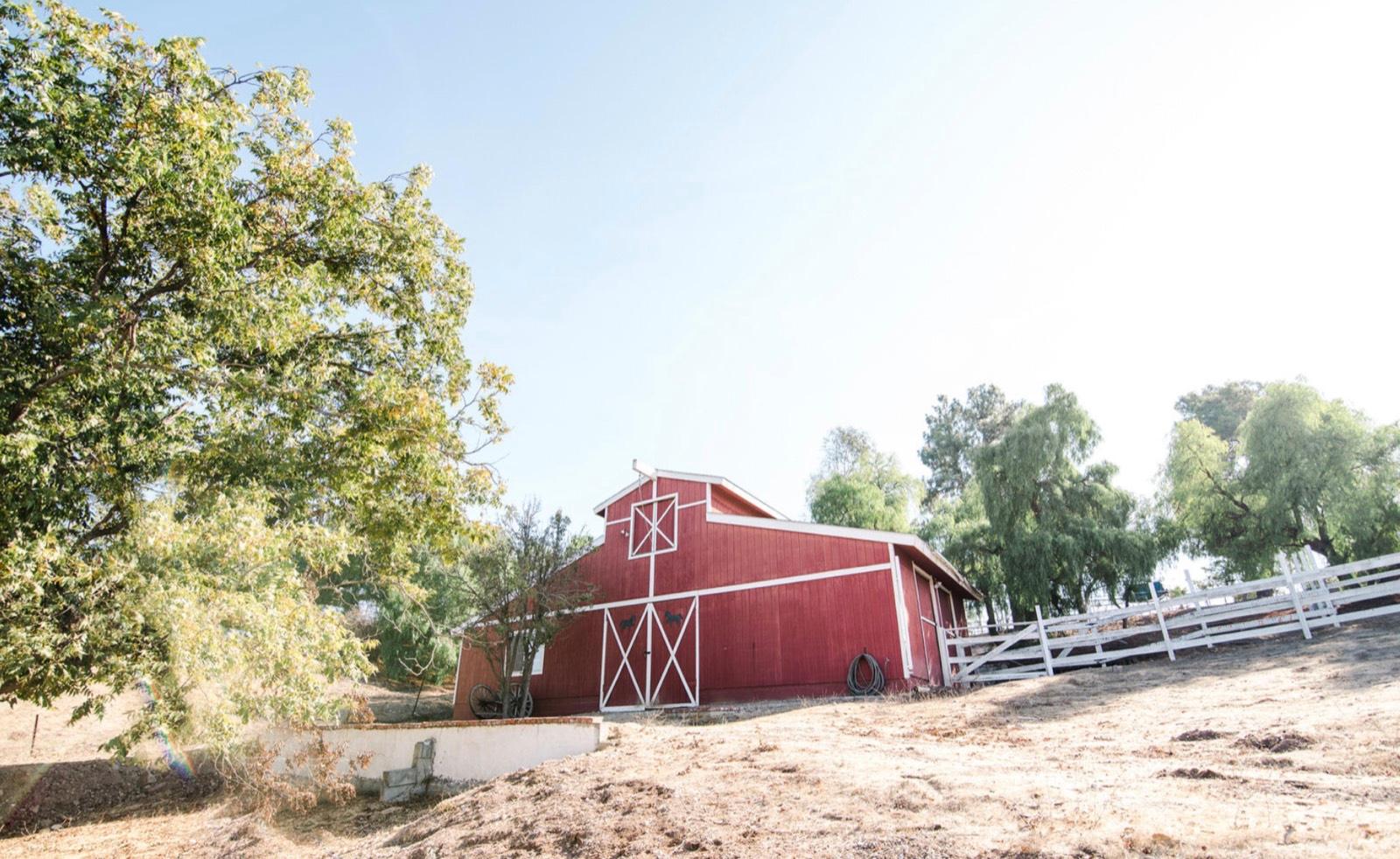 D's Red Barn Ranch — photo 3