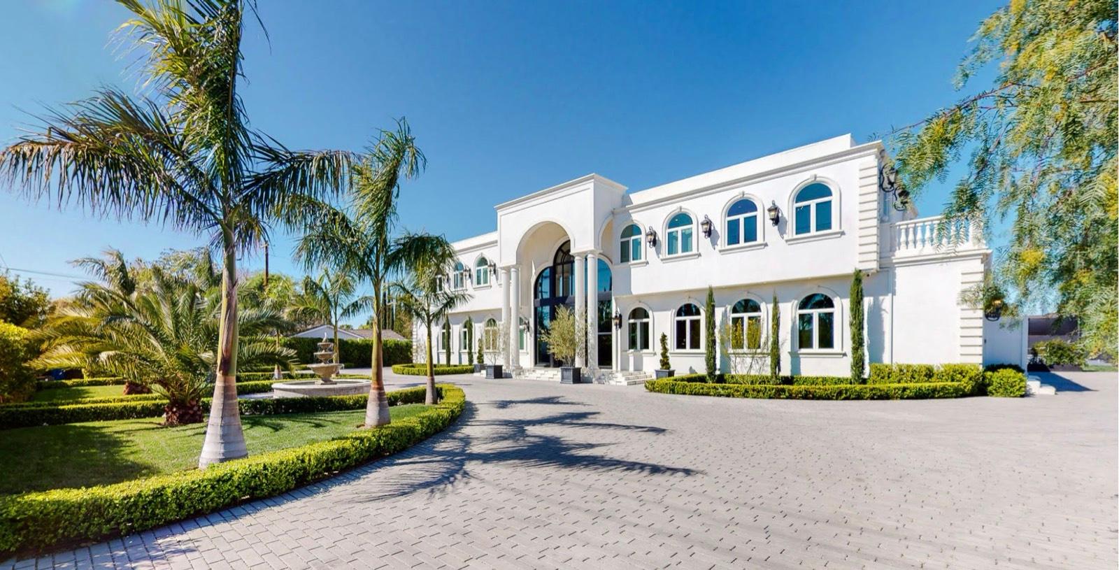 D's White Grand Mansion — photo 2