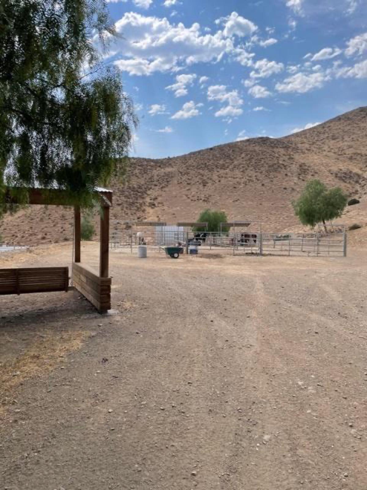 DB's Small Desert Ranch — photo 12