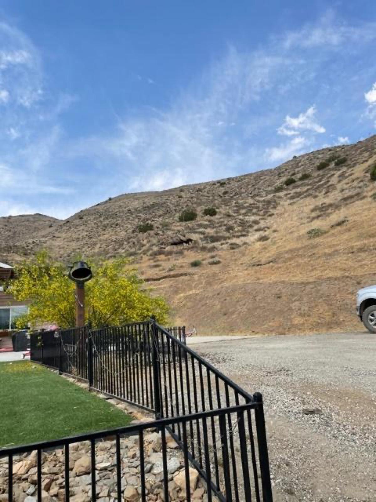 DB's Small Desert Ranch — photo 6