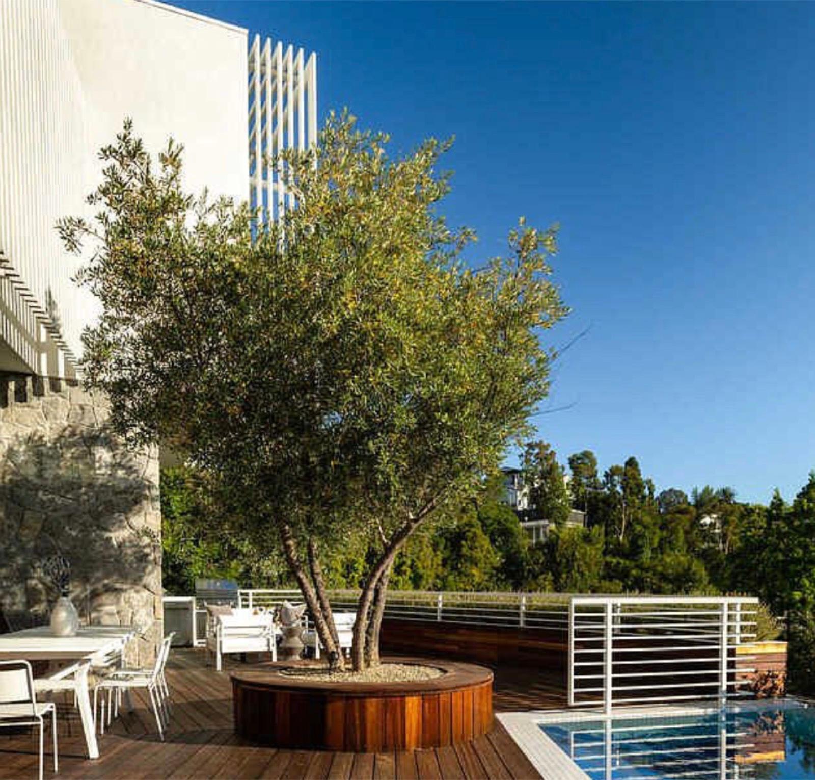 D's Architectual Modern View Dream — photo 11