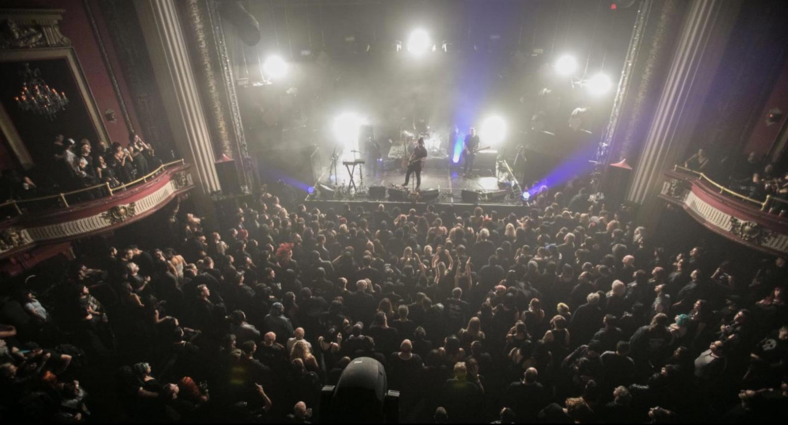 D's Theater — photo 3