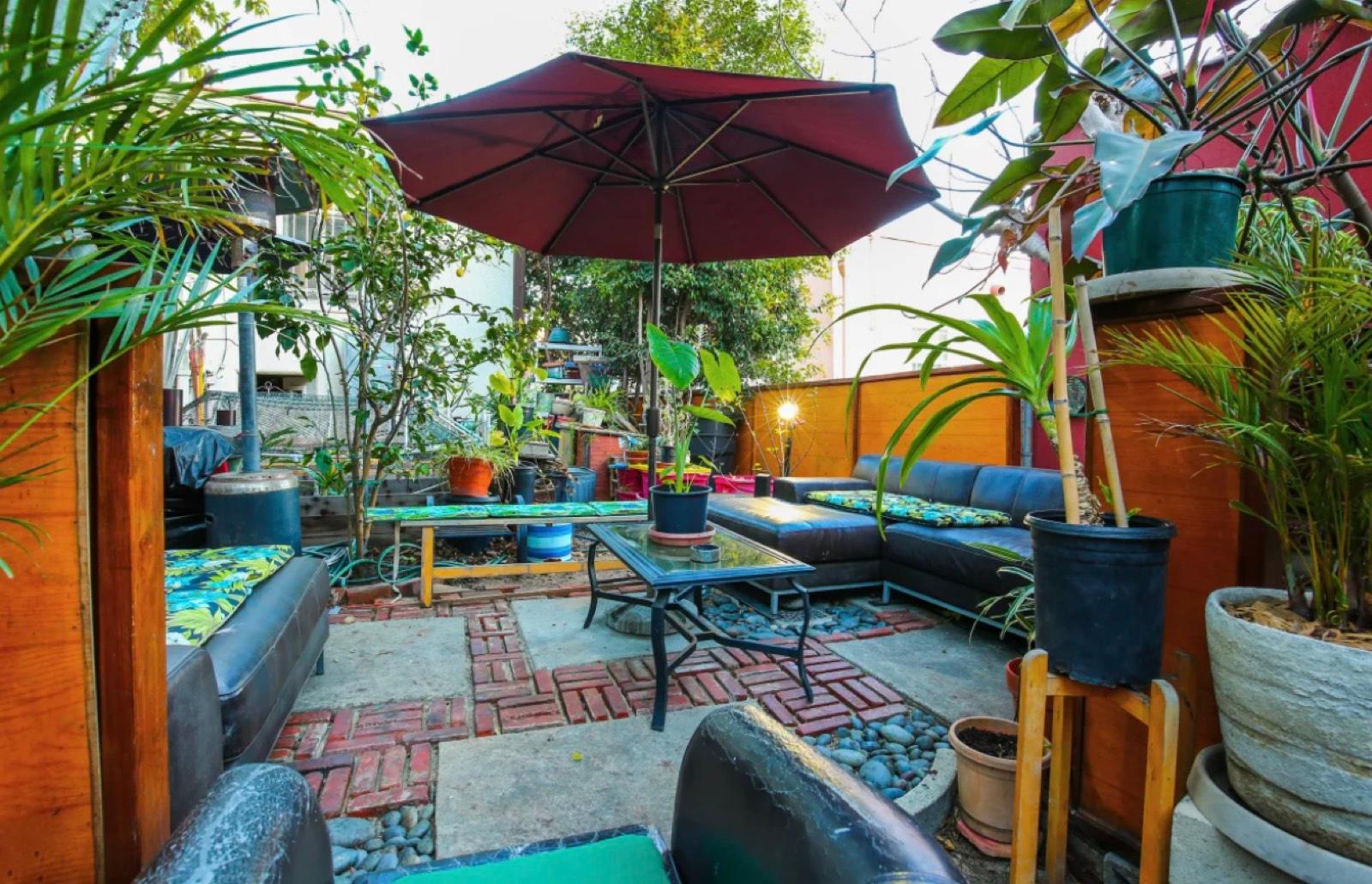 D's Tropical Tiki Garden — photo 4