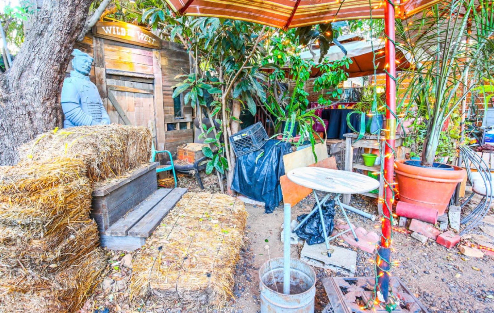 D's Tropical Tiki Garden — photo 7