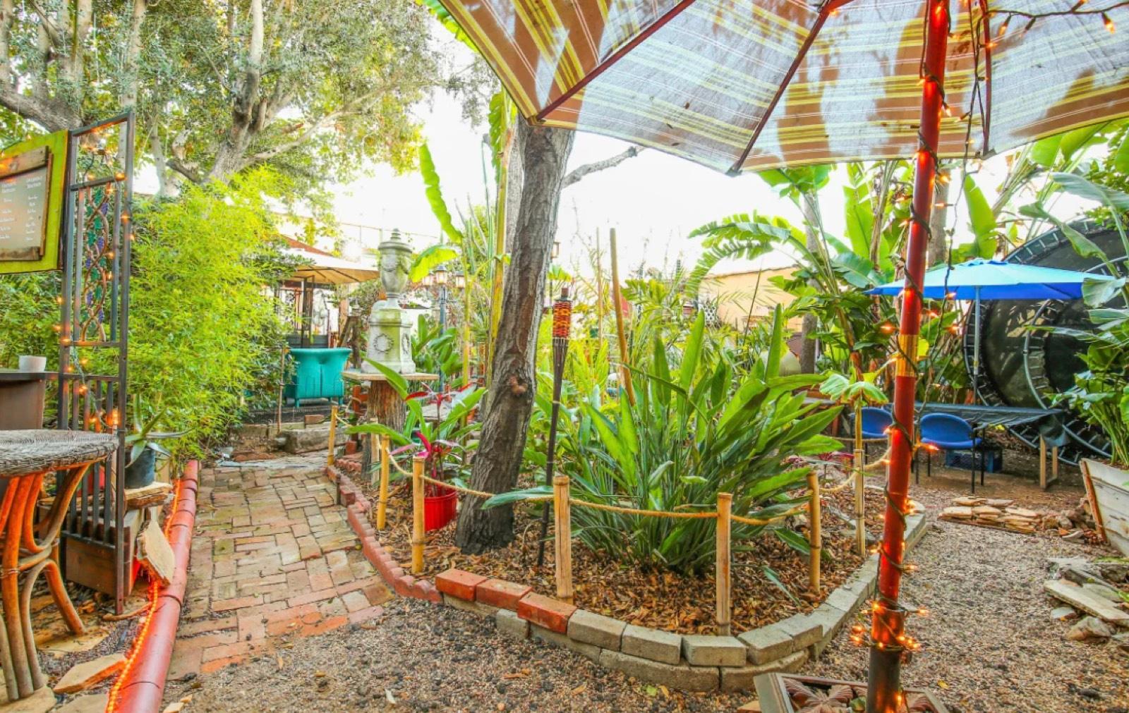 D's Tropical Tiki Garden — photo 8