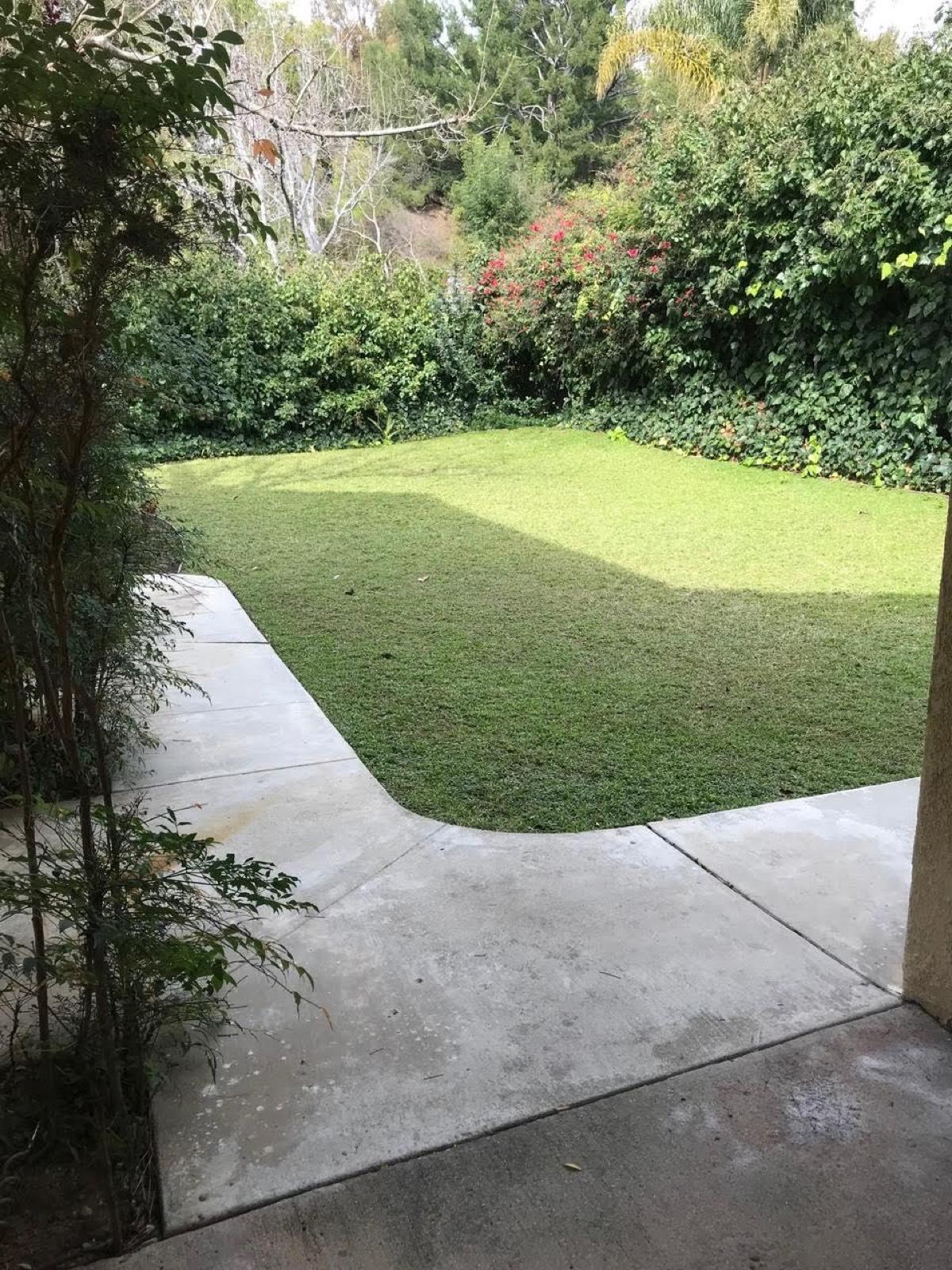 DT's BH House — photo 9