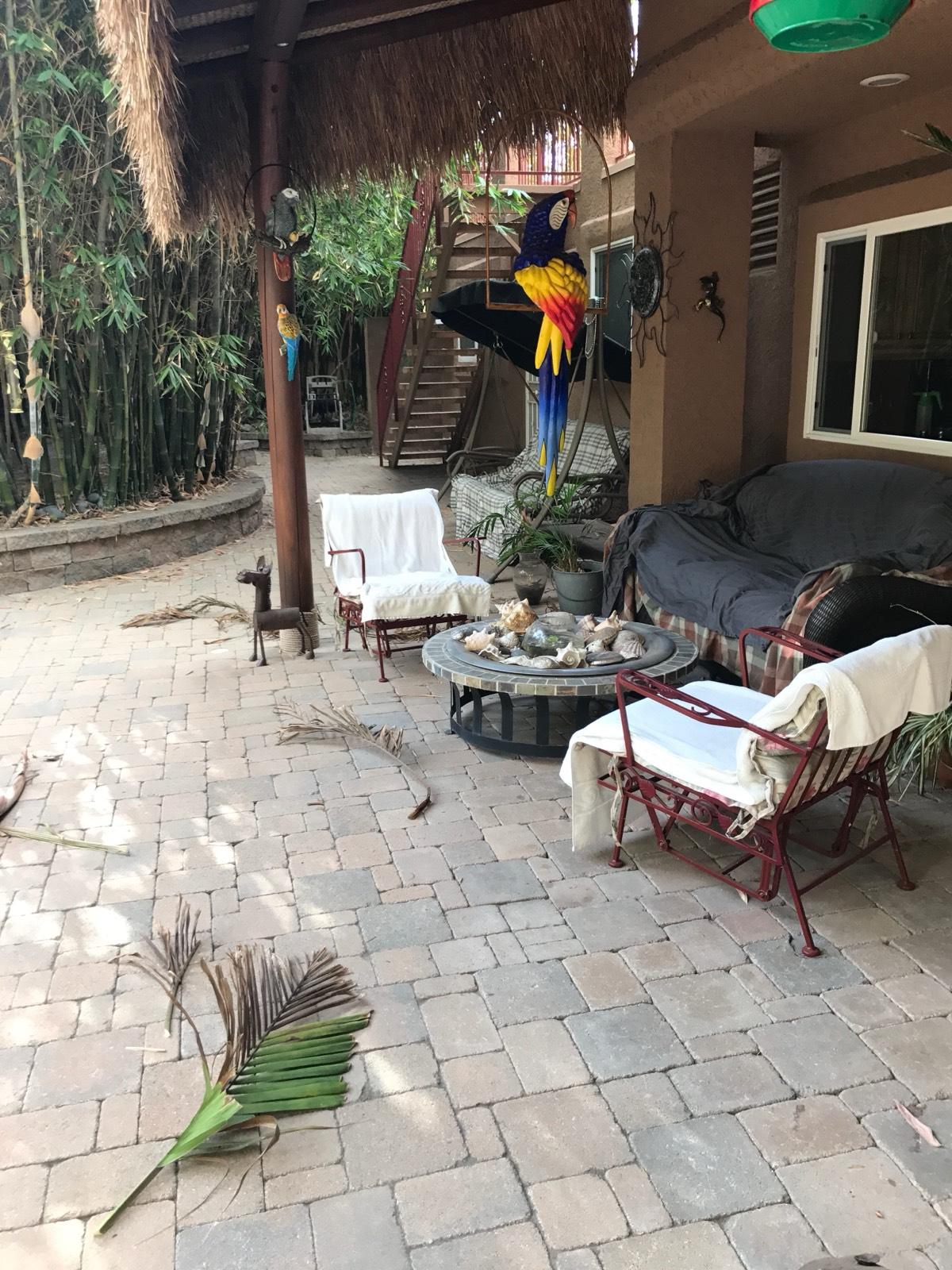 Erwin Street — photo 3
