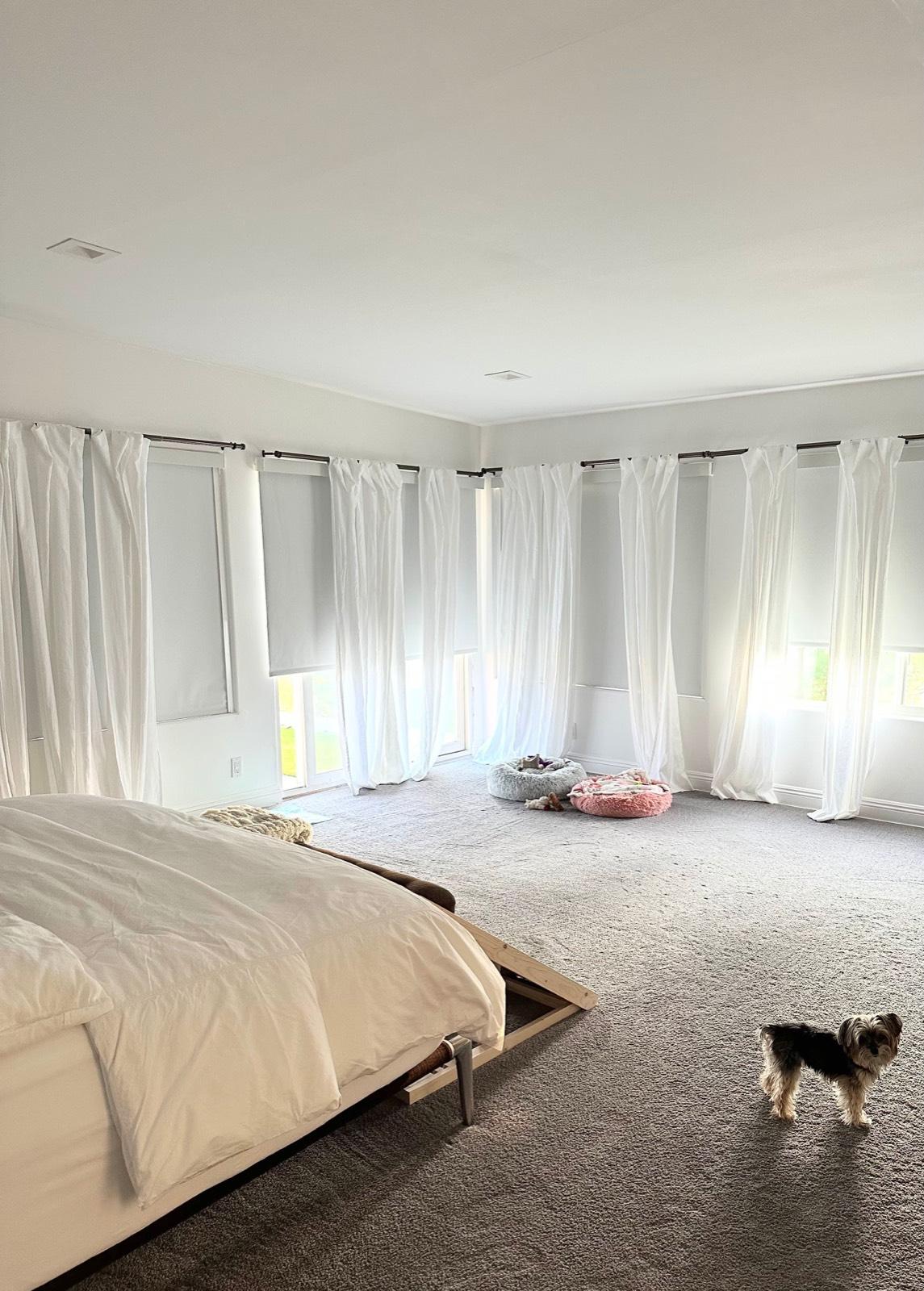 Esther’s laurel pad — photo 3