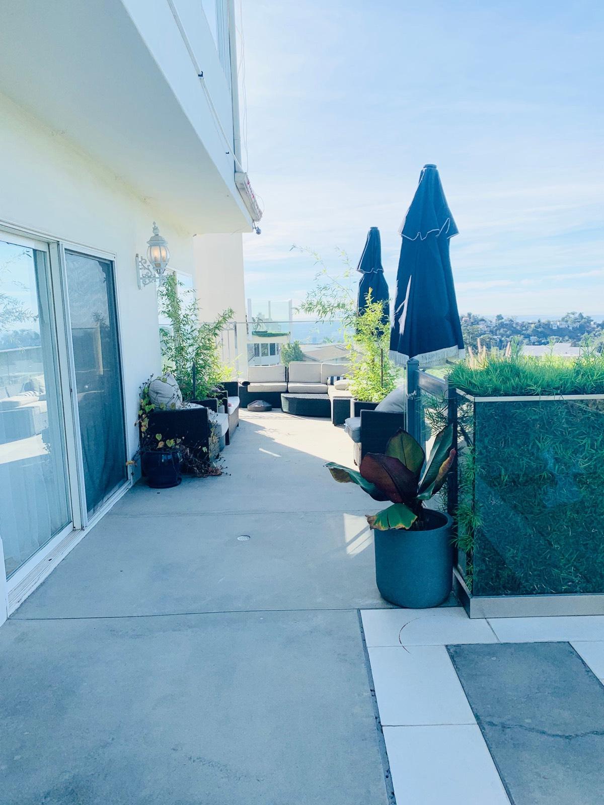 Esther’s laurel pad — photo 1