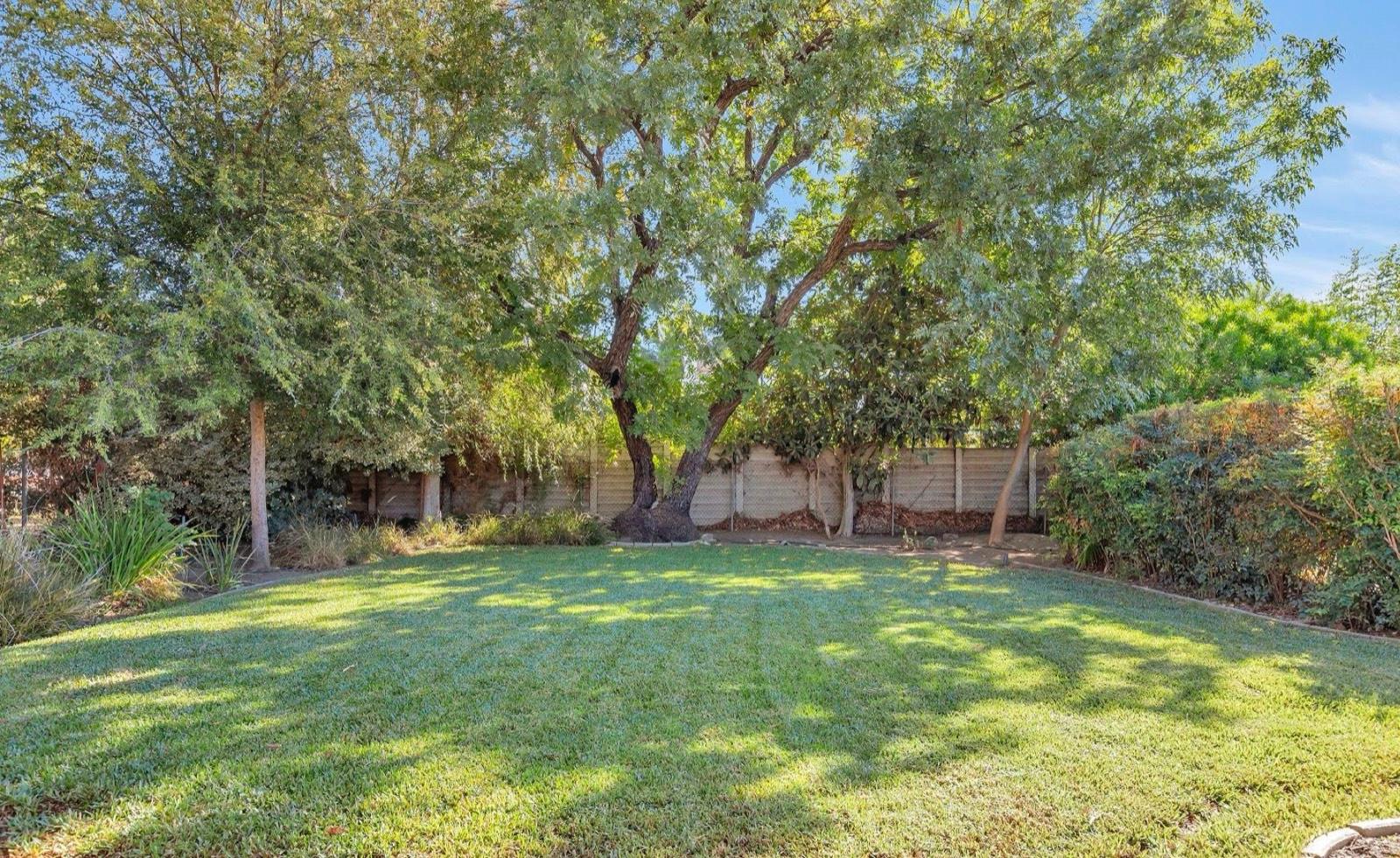 Forest Midcentury Home — photo 12