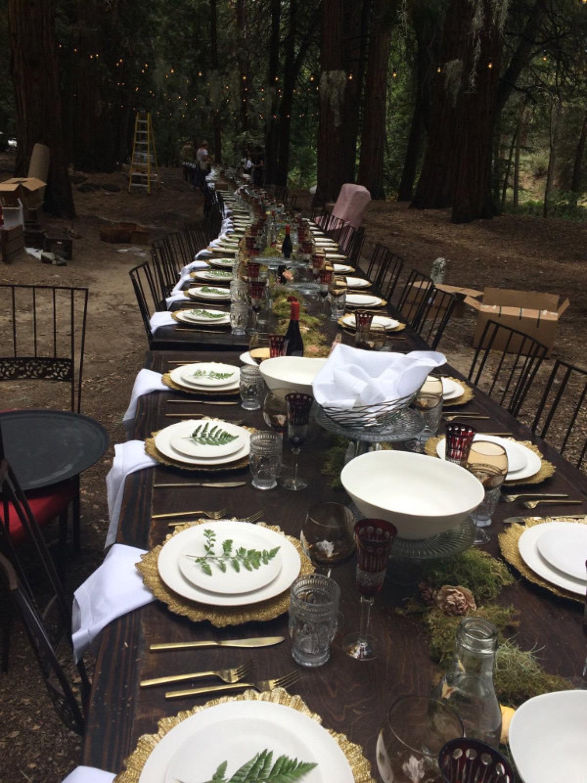 Foresty Kids Camp — photo 2