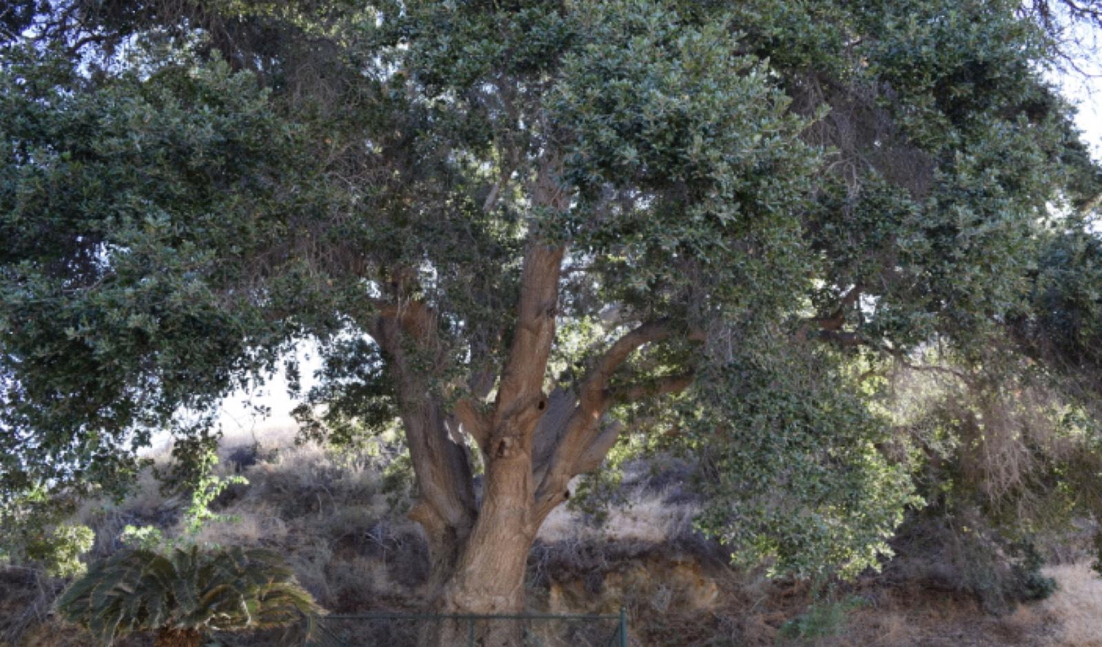 F's Big Property Ranch — photo 7