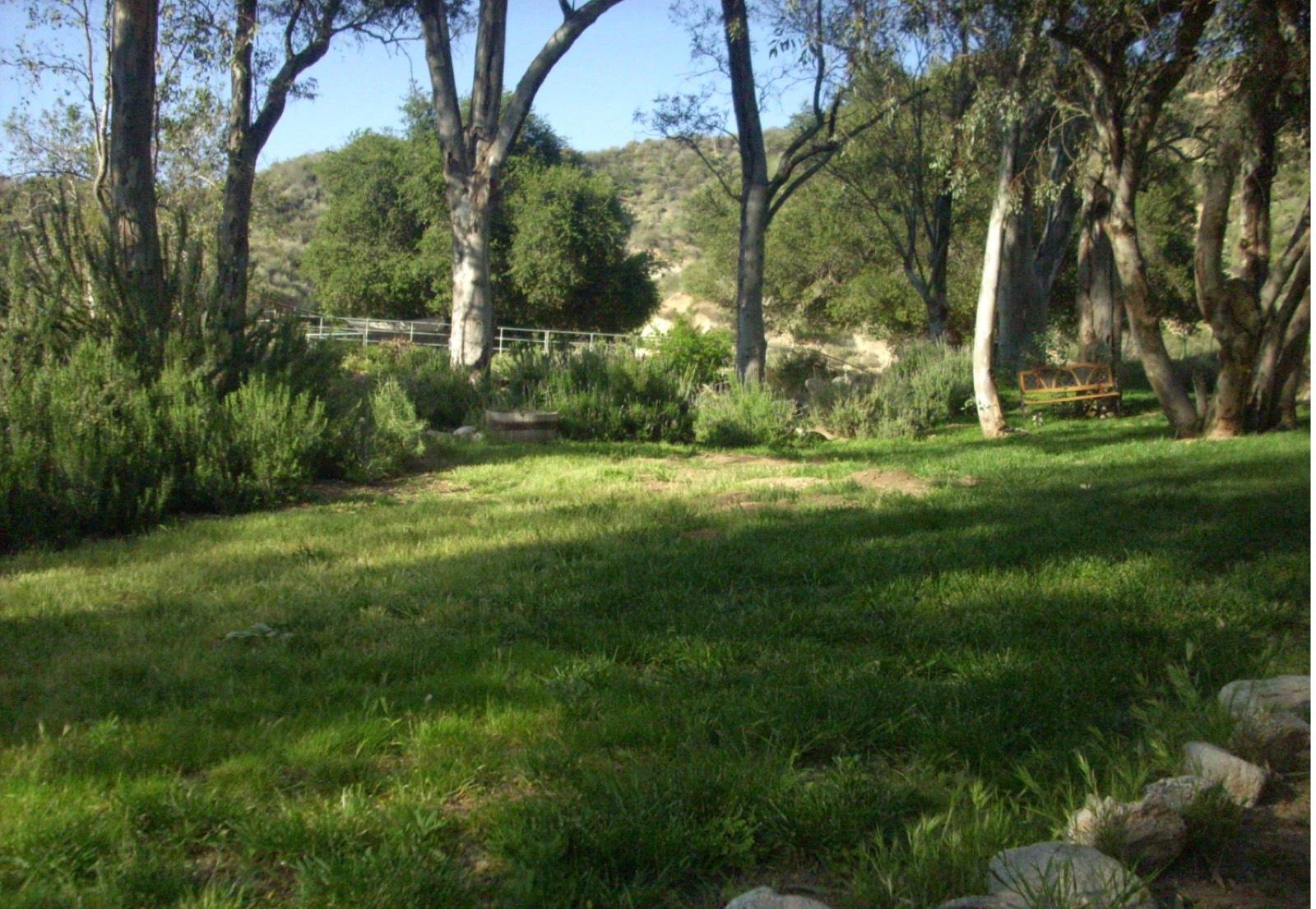 G's 38 Acre Ranch — photo 3