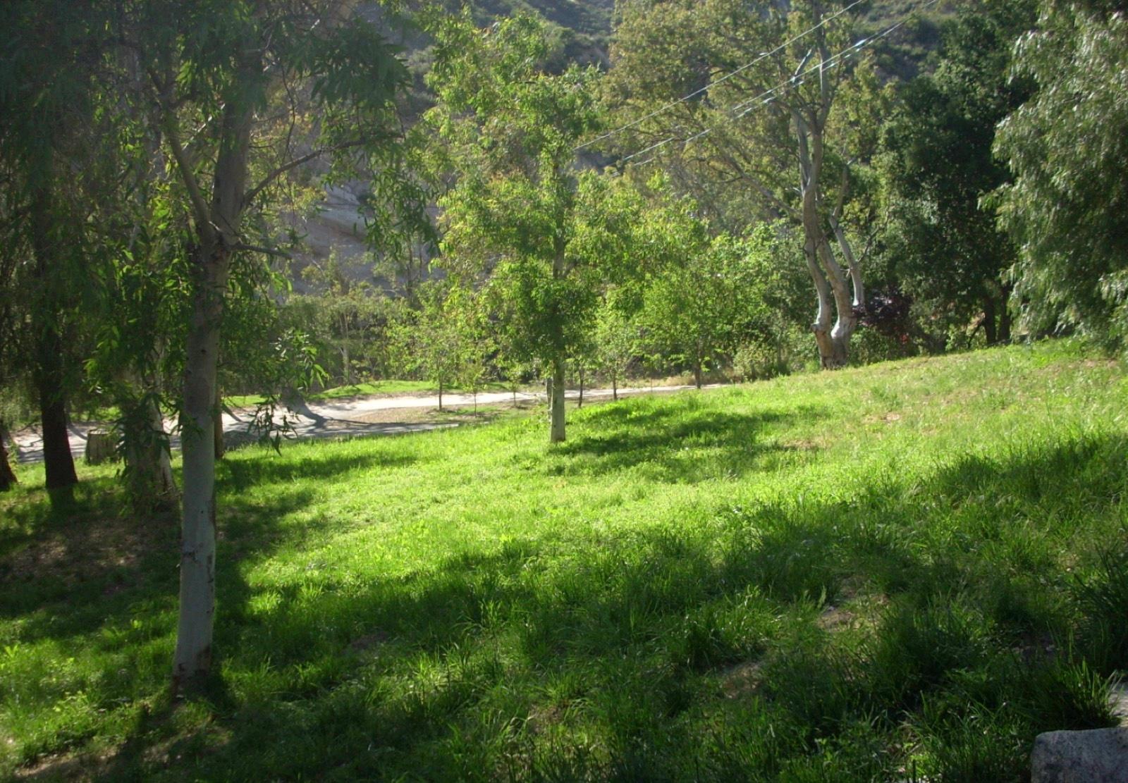 G's 38 Acre Ranch — photo 7