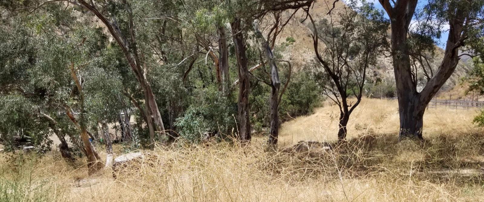 G's 38 Acre Ranch — photo 1