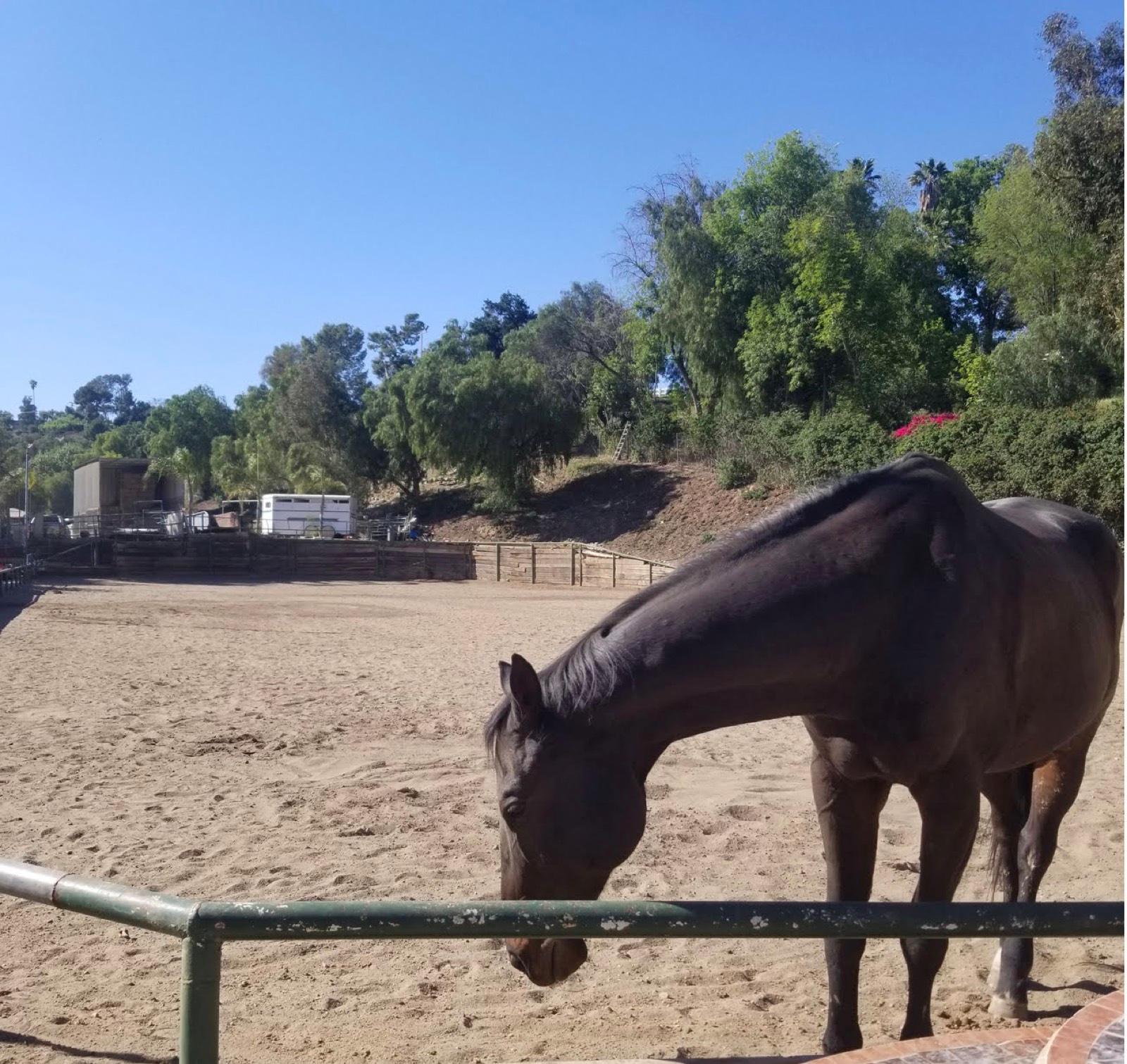 G's Red Ranch 11209 — photo 12
